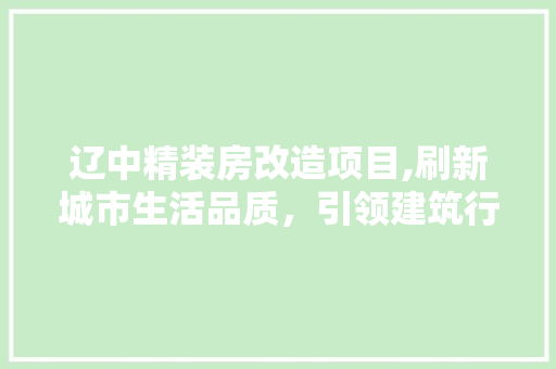 辽中精装房改造项目,刷新城市生活品质，引领建筑行业新风尚
