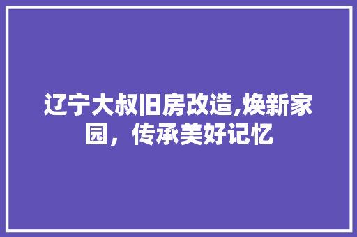辽宁大叔旧房改造,焕新家园，传承美好记忆