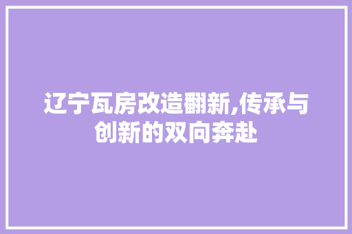 辽宁瓦房改造翻新,传承与创新的双向奔赴