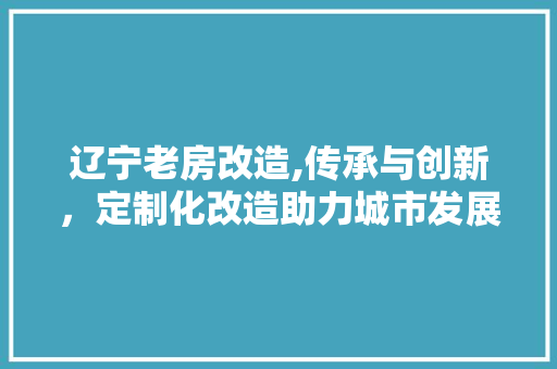 辽宁老房改造,传承与创新，定制化改造助力城市发展 户内维修
