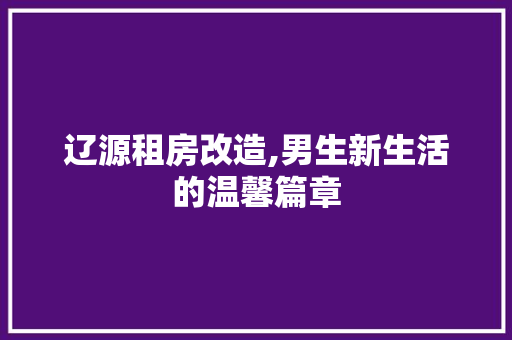 辽源租房改造,男生新生活的温馨篇章