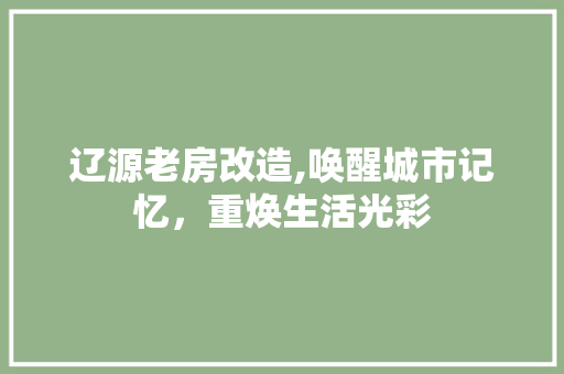 辽源老房改造,唤醒城市记忆，重焕生活光彩