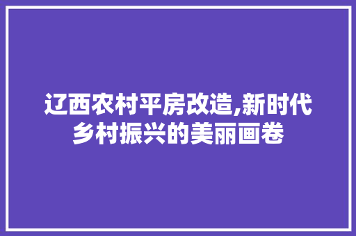 辽西农村平房改造,新时代乡村振兴的美丽画卷