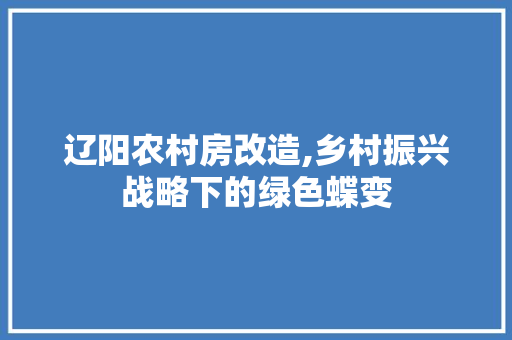 辽阳农村房改造,乡村振兴战略下的绿色蝶变 户内维修