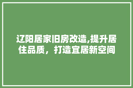 辽阳居家旧房改造,提升居住品质，打造宜居新空间 厨房维修