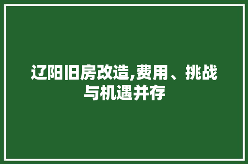 辽阳旧房改造,费用、挑战与机遇并存