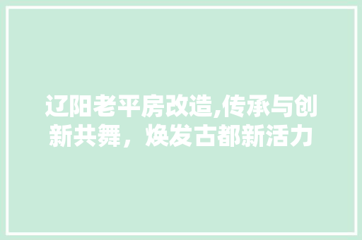 辽阳老平房改造,传承与创新共舞，焕发古都新活力