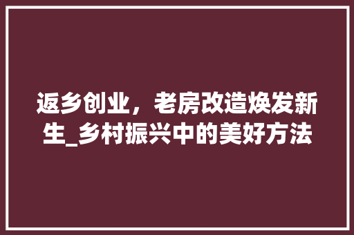 返乡创业，老房改造焕发新生_乡村振兴中的美好方法