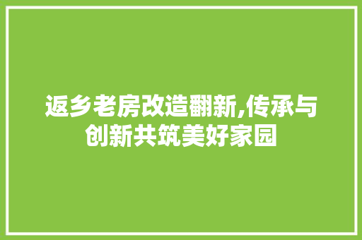 返乡老房改造翻新,传承与创新共筑美好家园