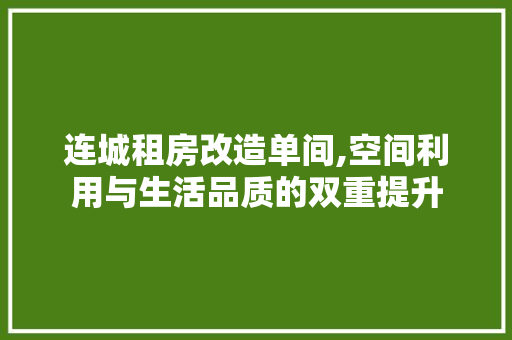 连城租房改造单间,空间利用与生活品质的双重提升