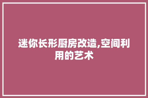 迷你长形厨房改造,空间利用的艺术