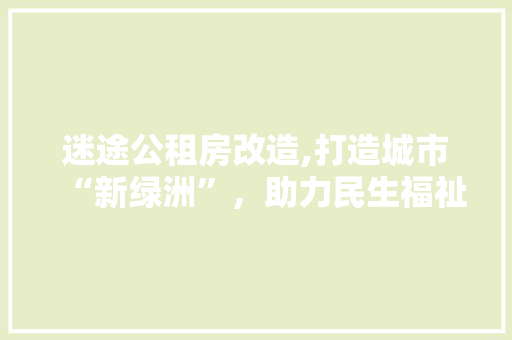 迷途公租房改造,打造城市“新绿洲”，助力民生福祉提升