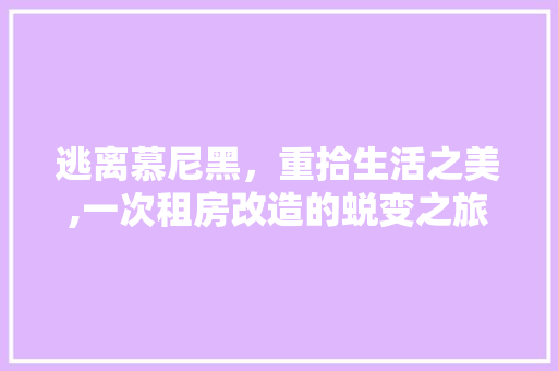 逃离慕尼黑，重拾生活之美,一次租房改造的蜕变之旅