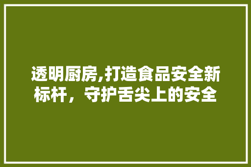 透明厨房,打造食品安全新标杆，守护舌尖上的安全