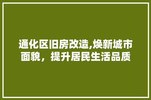 通化区旧房改造,焕新城市面貌，提升居民生活品质