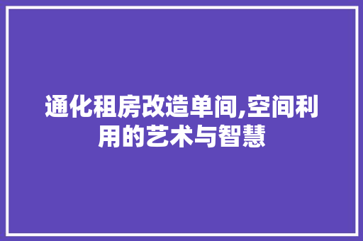 通化租房改造单间,空间利用的艺术与智慧