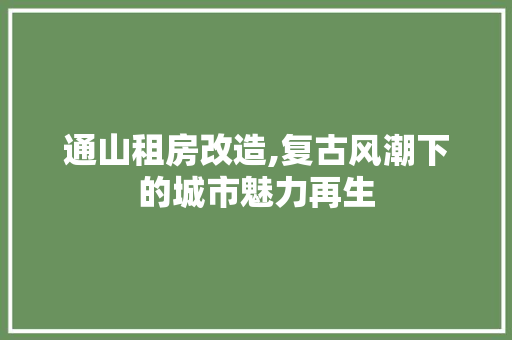 通山租房改造,复古风潮下的城市魅力再生