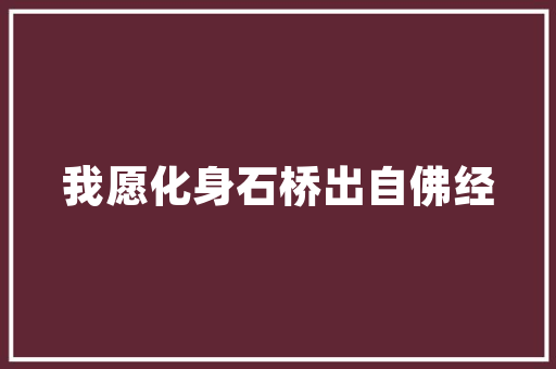 通州老楼房改造,传承与创新共筑美好家园