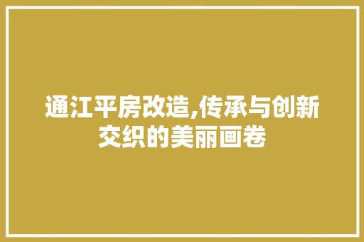 通江平房改造,传承与创新交织的美丽画卷 家电维修