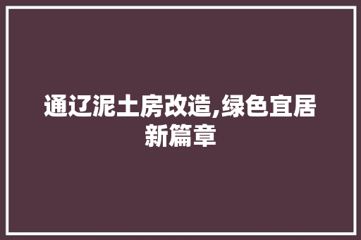 通辽泥土房改造,绿色宜居新篇章