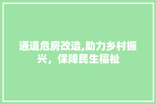 通道危房改造,助力乡村振兴，保障民生福祉