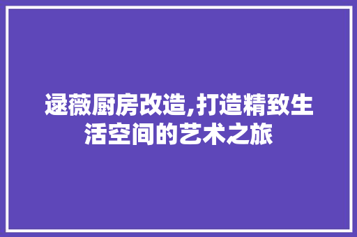 逯薇厨房改造,打造精致生活空间的艺术之旅 居家维修