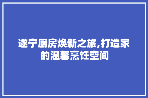 遂宁厨房焕新之旅,打造家的温馨烹饪空间