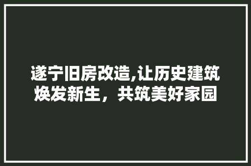 遂宁旧房改造,让历史建筑焕发新生，共筑美好家园