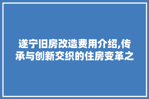 遂宁旧房改造费用介绍,传承与创新交织的住房变革之路 墙体维修