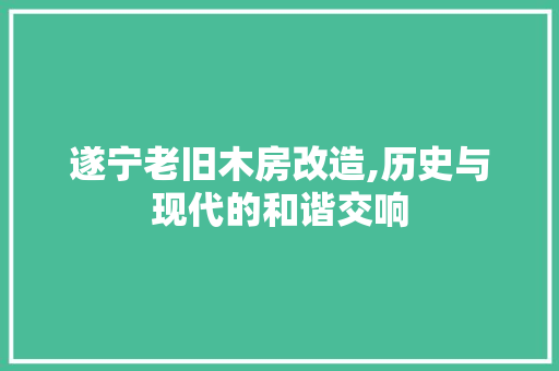 遂宁老旧木房改造,历史与现代的和谐交响