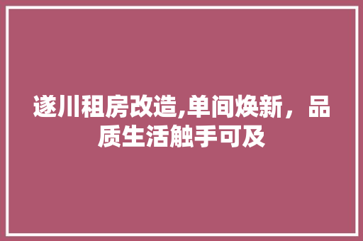 遂川租房改造,单间焕新，品质生活触手可及