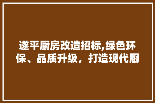 遂平厨房改造招标,绿色环保、品质升级，打造现代厨房新典范