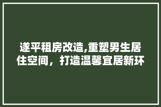 遂平租房改造,重塑男生居住空间，打造温馨宜居新环境