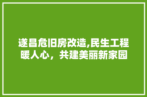 遂昌危旧房改造,民生工程暖人心，共建美丽新家园