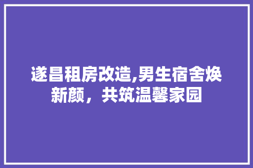 遂昌租房改造,男生宿舍焕新颜，共筑温馨家园
