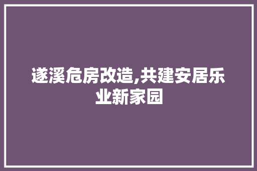 遂溪危房改造,共建安居乐业新家园