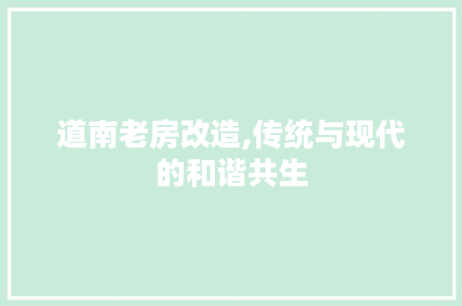 道南老房改造,传统与现代的和谐共生