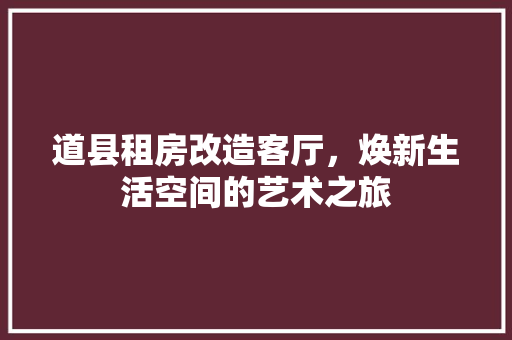 道县租房改造客厅，焕新生活空间的艺术之旅