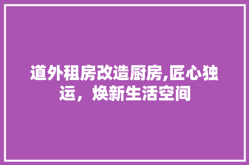 道外租房改造厨房,匠心独运，焕新生活空间