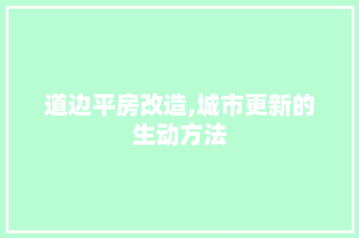 道边平房改造,城市更新的生动方法