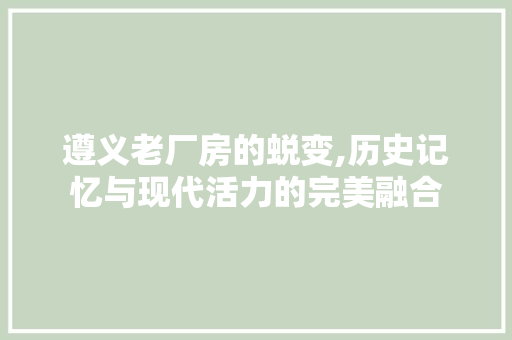 遵义老厂房的蜕变,历史记忆与现代活力的完美融合