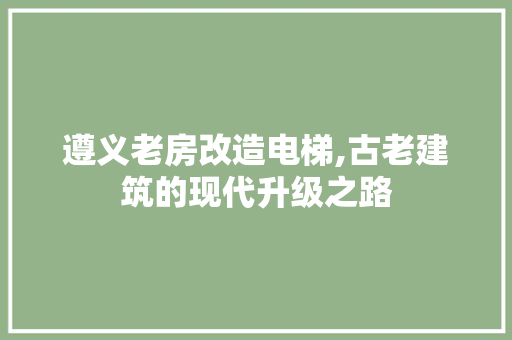 遵义老房改造电梯,古老建筑的现代升级之路