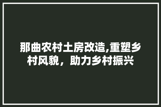 那曲农村土房改造,重塑乡村风貌，助力乡村振兴