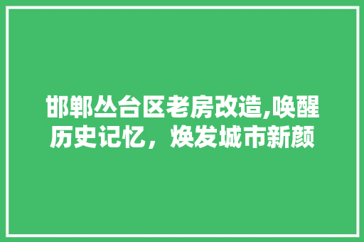 邯郸丛台区老房改造,唤醒历史记忆，焕发城市新颜