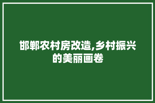 邯郸农村房改造,乡村振兴的美丽画卷