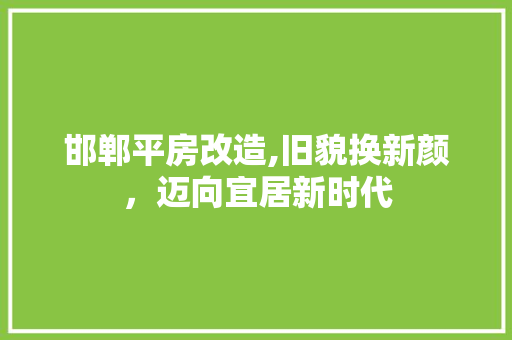 邯郸平房改造,旧貌换新颜，迈向宜居新时代
