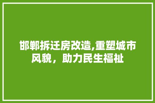 邯郸拆迁房改造,重塑城市风貌，助力民生福祉