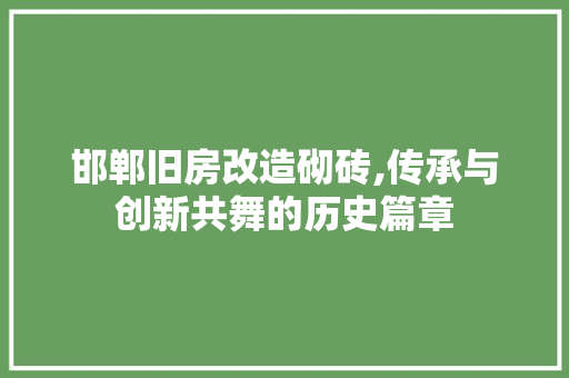 邯郸旧房改造砌砖,传承与创新共舞的历史篇章