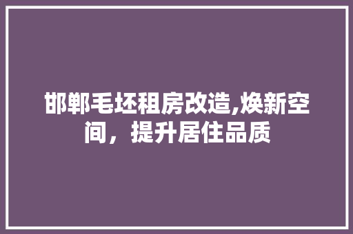 邯郸毛坯租房改造,焕新空间，提升居住品质