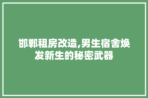 邯郸租房改造,男生宿舍焕发新生的秘密武器